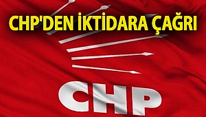 CHP'den iktidara ayçiçeği ithalatının yasaklanması çağrısı