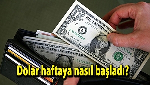 Dolar haftaya nasıl başladı?