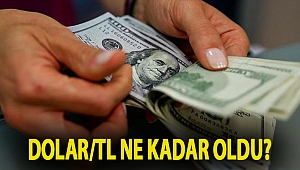 Dolar/TL ne kadar oldu?