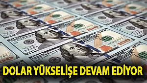 Dolar yükselişe devam ediyor