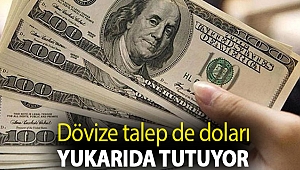 Dövize talep de doları yukarıda tutuyor
