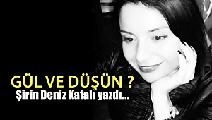 Gül ve Düşün?