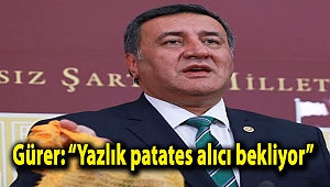 Gürer: “Yazlık patates alıcı bekliyor”