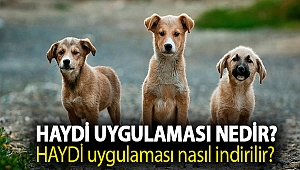 HAYDİ uygulaması nedir? HAYDİ uygulaması nasıl indirilir?