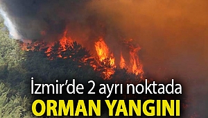 İzmir’de 2 ayrı noktada orman yangını