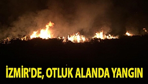 İzmir'de, otluk alanda yangın