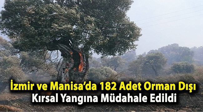 İzmir ve Manisa’da 182 Adet Orman Dışı, Kırsal Yangına Müdahale Edildi