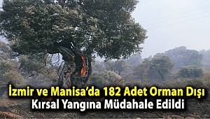 İzmir ve Manisa’da 182 Adet Orman Dışı, Kırsal Yangına Müdahale Edildi