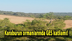 Karaburun ormanlarında GES katliamı!