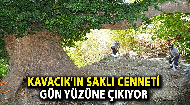 Kavacık'ın saklı cenneti gün yüzüne çıkıyor