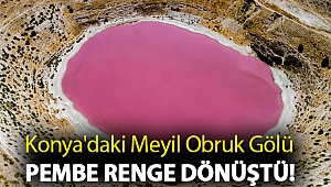 Konya'daki Meyil Obruk Gölü pembe renge dönüştü!