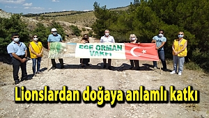 Lionslardan doğaya anlamlı katkı