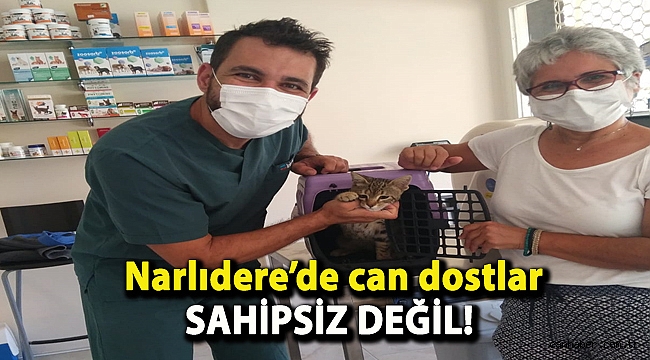 Narlıdere’de can dostlar sahipsiz değil!