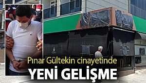 Pınar Gültekin cinayetinde yeni gelişme: Pınar'ı en son Nazlı B. görmüş, ifadesinin alınması talep edildi