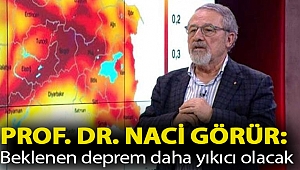 Prof. Dr. Naci Görür: Beklenen deprem daha yıkıcı olacak