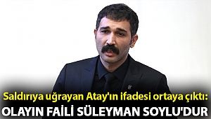 Saldırıya uğrayan Atay'ın ifadesi ortaya çıktı: Olayın faili Süleyman Soylu'dur