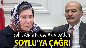 Şehit Anası Pakize Akbaba'dan Soylu'ya çağrı: Vicdanına sığıyor mu bu yapılanlar