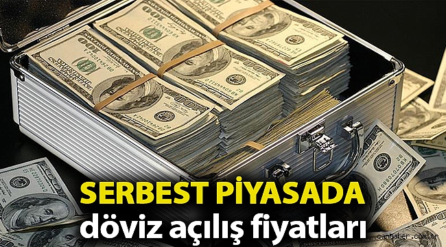 Serbest piyasada döviz açılış fiyatları