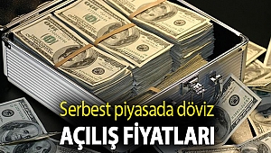 Serbest piyasada döviz açılış fiyatları