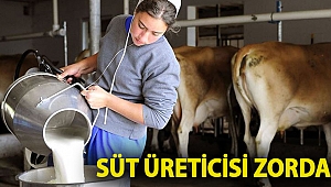 Süt üreticisi zorda