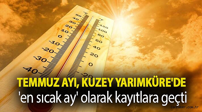 Temmuz ayı, Kuzey Yarımküre'de 'en sıcak ay' olarak kayıtlara geçti