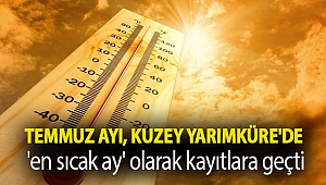 Temmuz ayı, Kuzey Yarımküre'de 'en sıcak ay' olarak kayıtlara geçti