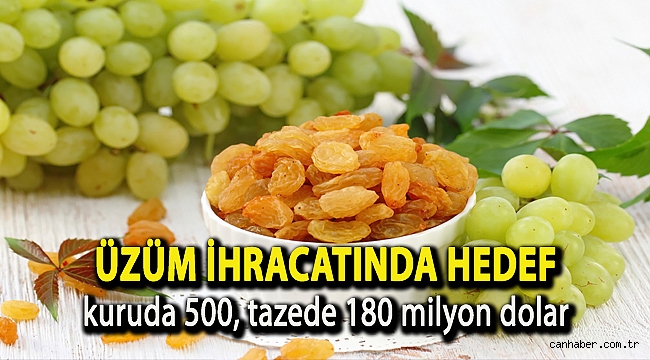 Üzüm ihracatında hedef kuruda 500, tazede 180 milyon dolar