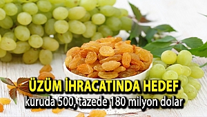 Üzüm ihracatında hedef kuruda 500, tazede 180 milyon dolar