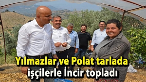 Yılmazlar ve Polat tarlada işçilerle İncir topladı