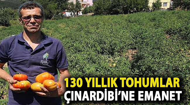 130 Yıllık Tohumlar Çınardibi’ne Emanet