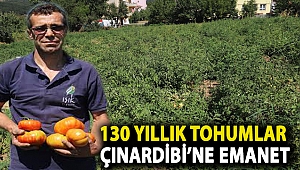 130 Yıllık Tohumlar Çınardibi’ne Emanet