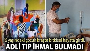 6 yaşındaki çocuk kreşte bitkisel hayata girdi, Adli Tıp ihmal bulmadı