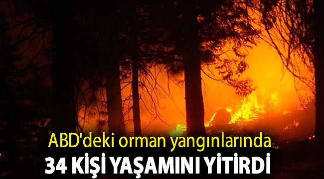ABD'deki orman yangınlarında 34 kişi yaşamını yitirdi
