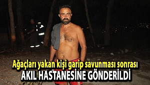 Ağaçları yakan kişi garip savunması sonrası akıl hastanesine gönderildi
