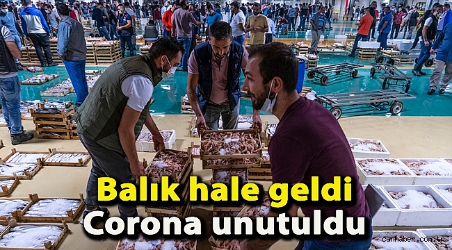 Balık hale geldi, corona unutuldu
