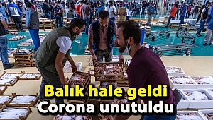 Balık hale geldi, corona unutuldu