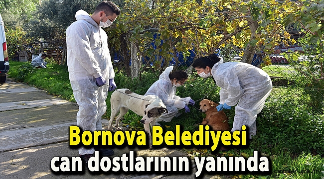 Bornova Belediyesi can dostlarının yanında