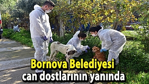 Bornova Belediyesi can dostlarının yanında