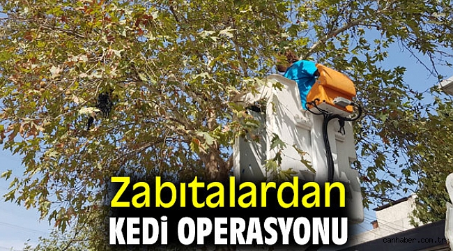 Bornova'da zabıtalar kediyi kurtardı