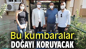 Bu kumbaralar doğayı koruyacak