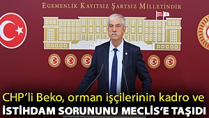 CHP’li Beko, orman işçilerinin kadro ve istihdam sorununu Meclis’e taşıdı