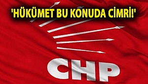 CHP’li Şevkin: 'Hükümet bu konuda cimri!'