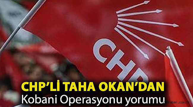 CHP'li Taha Okan'dan Kobani Operasyonu yorumu