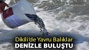 Dikili’de Yavru Balıklar Denizle Buluştu