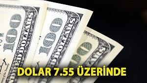Dolar 7.55 üzerinde
