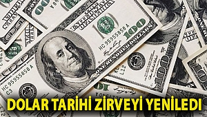 Dolar tarihi zirveyi yeniledi