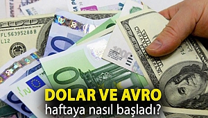 Dolar ve Avro haftaya nasıl başladı?