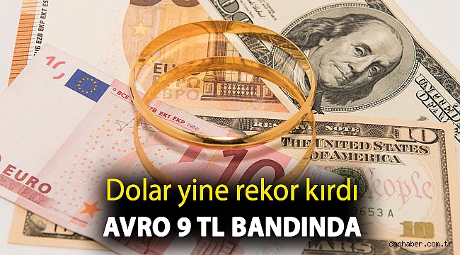 Dolar yine rekor kırdı, avro 9 TL bandında
