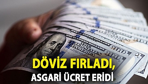 Döviz fırladı, asgari ücret eridi