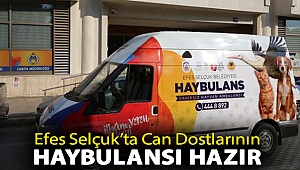 EFES SELÇUK’TA CAN DOSTLARININ HAYBULANSI HAZIR